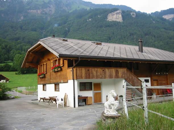 Eichhof Brienzwiler Berner Oberland Vila Exterior foto